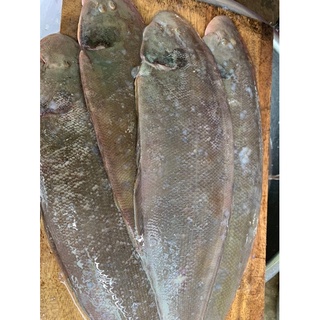 Cá lưỡi trâu bự làm sạch ~0.7kg