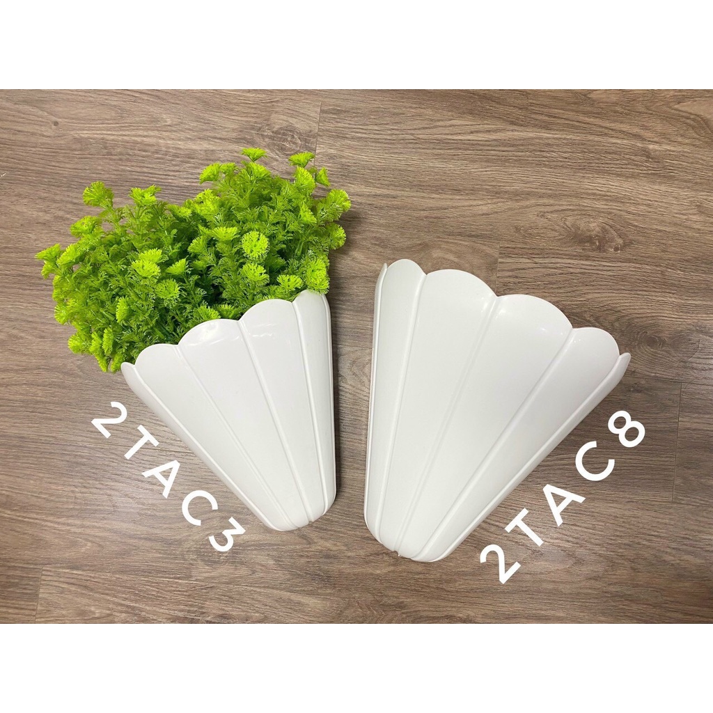 Chậu ốp Tường Chóp [mẫu mới] decor tường ban công, trang trí cửa sổ siêu cute