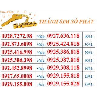 T12. THÁNH SIM SỐ PHÁT MIỄN PHÍ VÀO MẠNG TRỌN ĐỜI