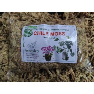 Dớn Chile, rêu sâu Chile ( hàng chuẩn cho kiểng lá, phong lan )