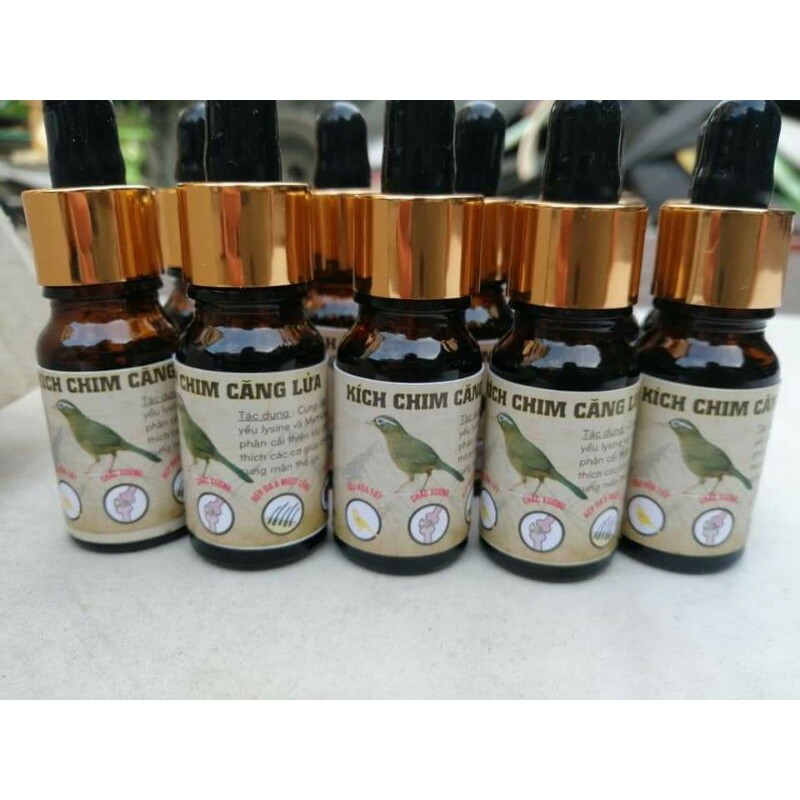 Kích căng lửa cho chim cảnh