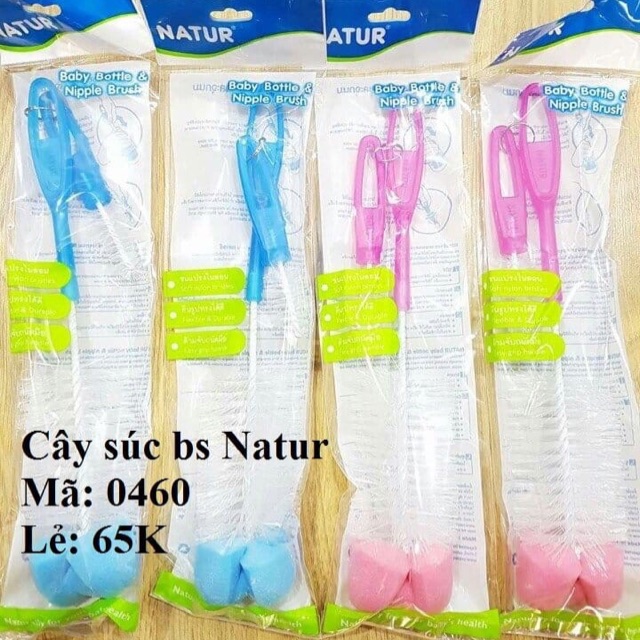 Cây súc bình sữa natur