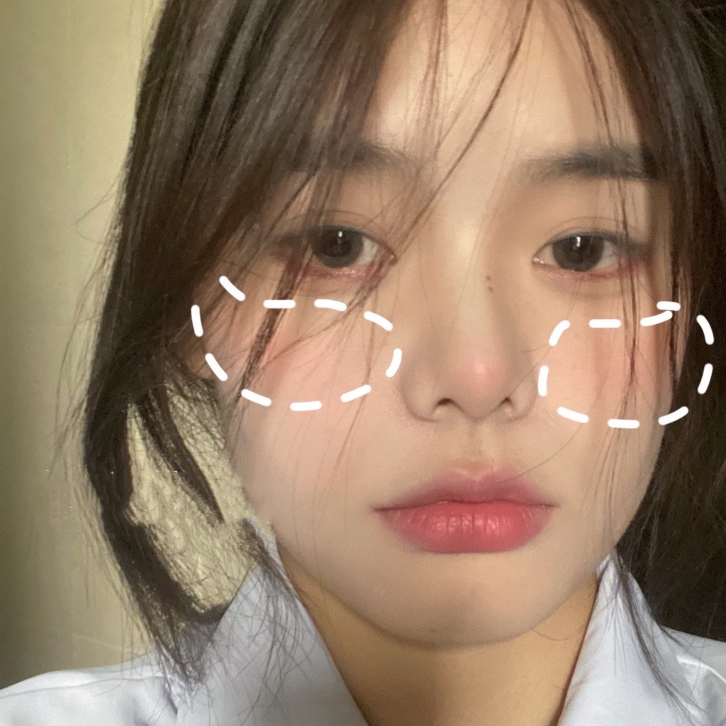 Cọ Trang Điểm Đánh Phấn Má Hồng Chuyên Nghiệp wool