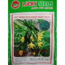 HẠT GIỐNG DƯA CHUỘT BABY LUCKY GÓI 10 HẠT