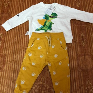 Set zara auth
