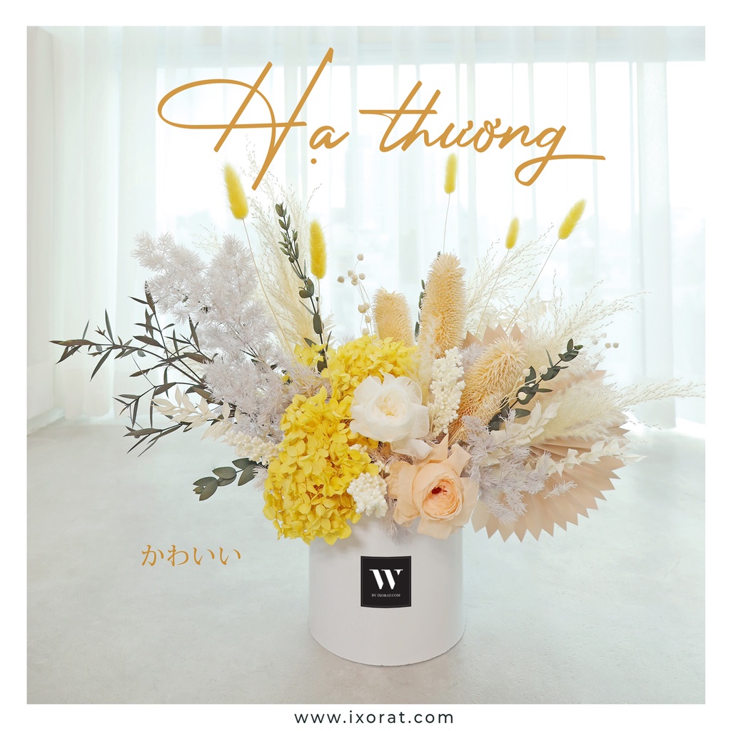 [PRE-ORDER 1 ngày] Hoa khô cao cấp W by IXORAT [ Hạ Thương ] Qùa tặng người yêu bạn bè dercor trang trí văn phòng