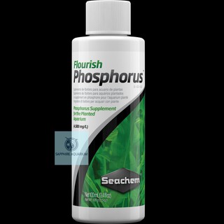 Phân nước thủy sinh Seachem Flourish Phosphorus 100ml (Nguyên Tem - Chính Hãng)
