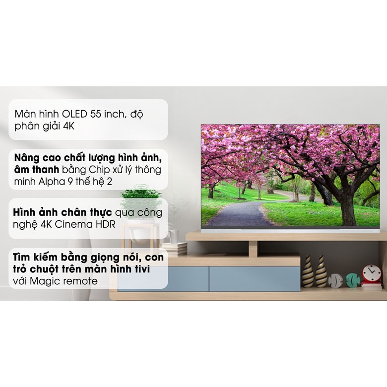 SMART TIVI OLED LG 4K 55 INCH 55E9PTA | BigBuy360 - bigbuy360.vn