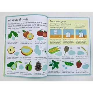 Dính dán - Usborne sticker book - How things grow