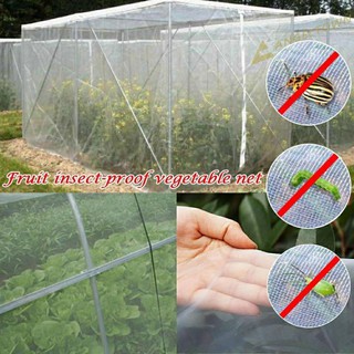 1m Lưới mùng chống côn trùng cho vườn rau. hoặc che mưa thưa, dùng trong thủy sản. Khổ 1m8.