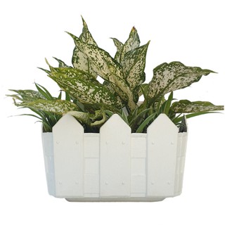 Combo 8 cái chậu nhựa treo tường kiểu hàng rào KT 24x18x19cm
