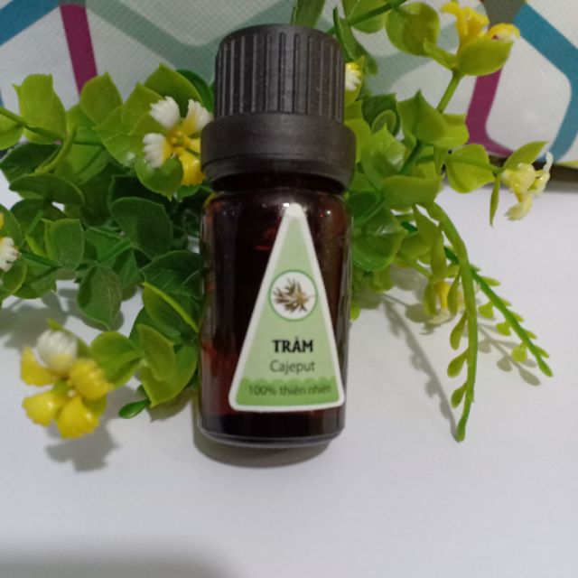Tinh dầu tràm xông đèn lọ 10ml