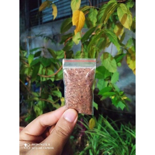 Muối Chẳm Chéo Khô Thơm, Ngon Chuẩn Vị Dân Tộc Thái (Gói Ăn Thử)