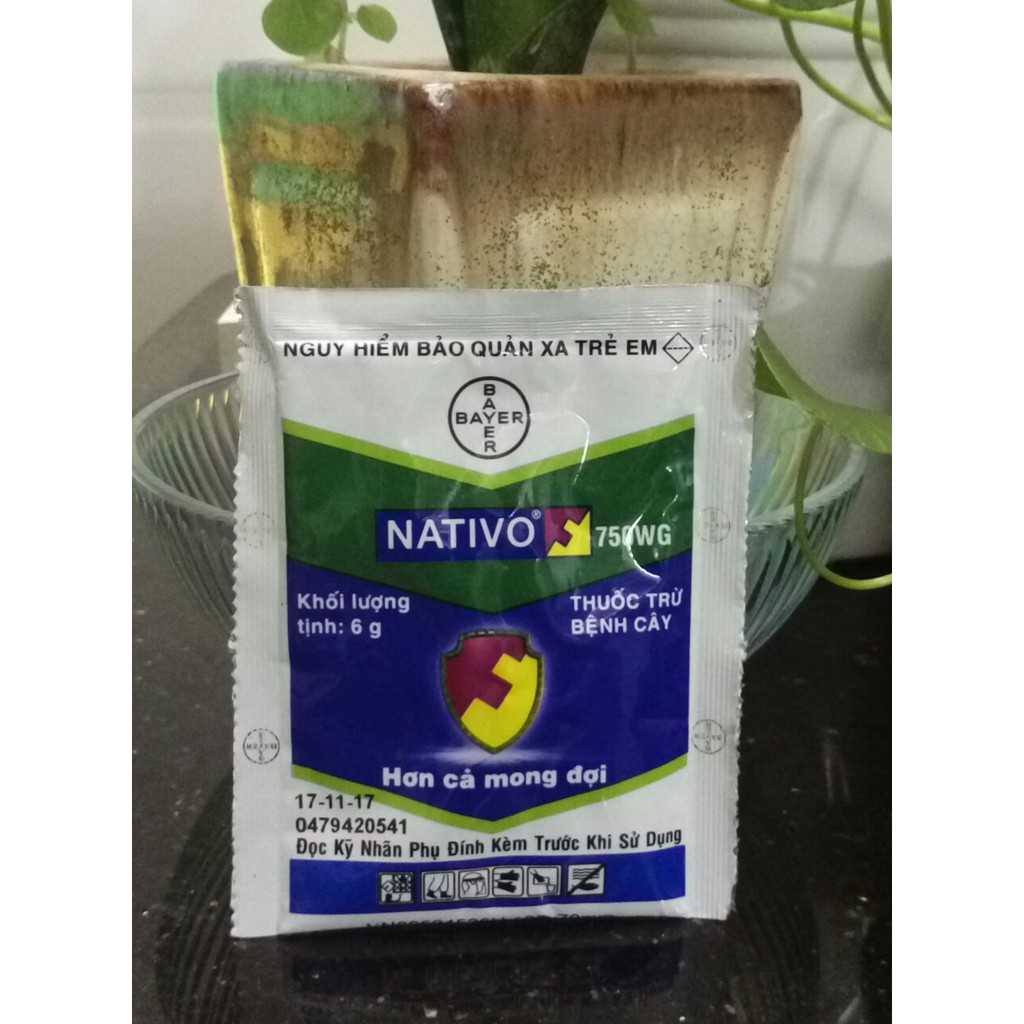 Thuốc trừ bệnh NATIVO 750WG (6g)