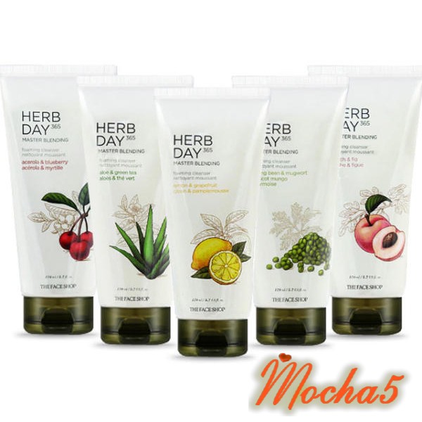 Sữa rửa mặt TFS Herb Day 365 Cleansing Foam The Face Shop 170ml