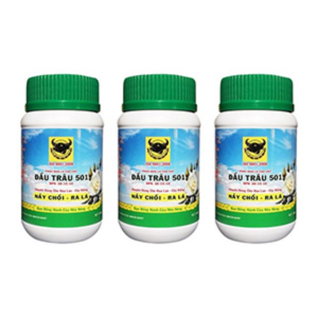 Phân đầu trâu 501 nảy chồi ra lá