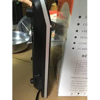 Bếp từ Đạt Tường BT02