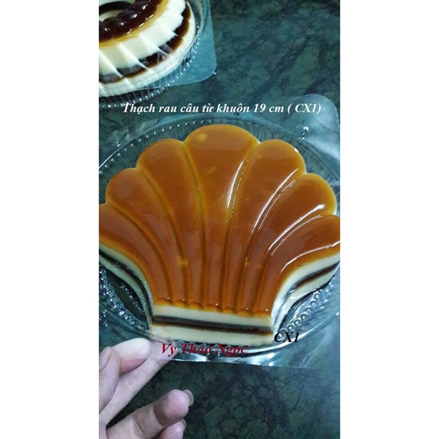 Bộ 9 khuôn nhựa làm rau cau, nhấn cơm 20cm như hình