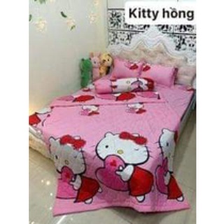 Bộ ga gối chăn hè 5 món poly cotton