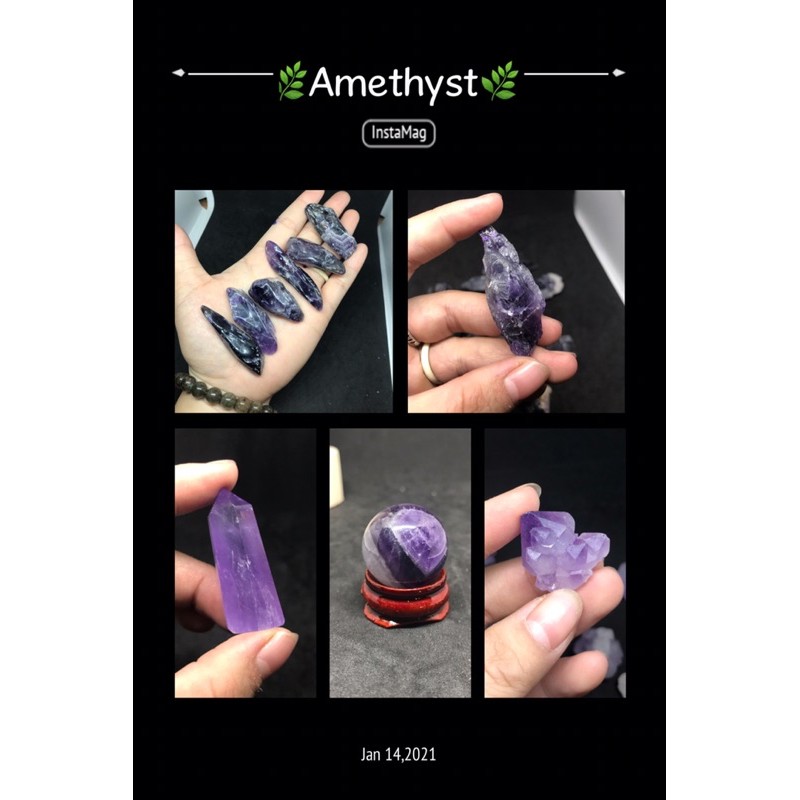 Mầm tím thô viên 2-3cm | BigBuy360 - bigbuy360.vn