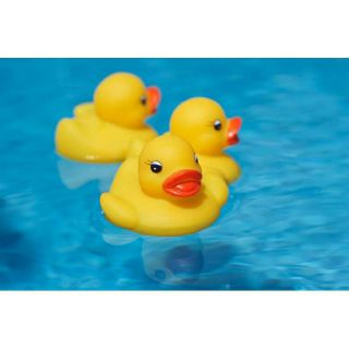 Đàn Vịt 4 Con Thả Bồn Tắm Cho Bé