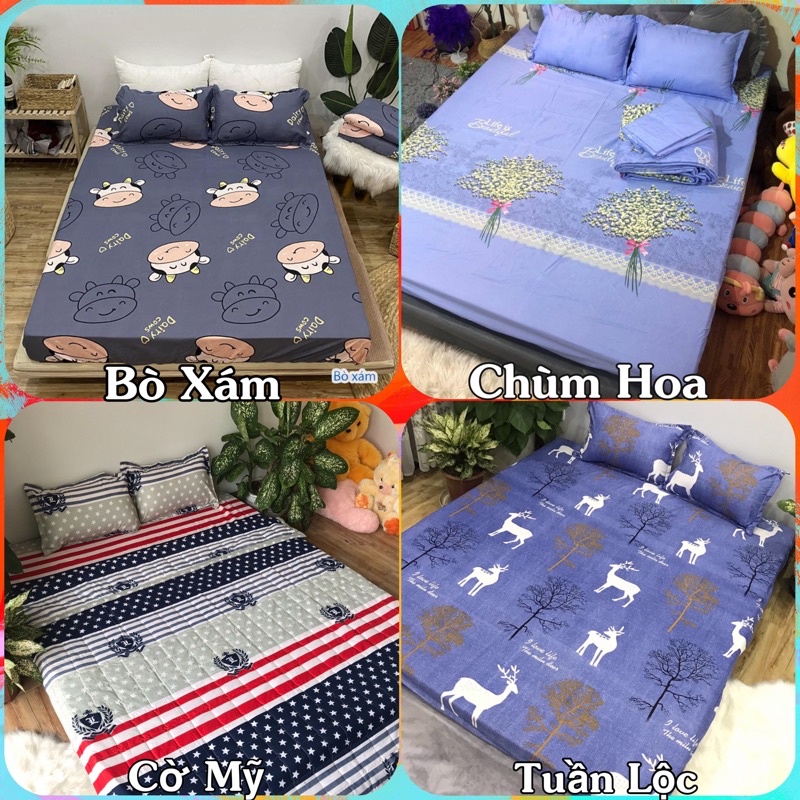 Bộ Drap Ga Giường Và 2 Vỏ Gối Poly Nhiều Mẫu Nghộ Nhĩnh Được Chọn Mẫu