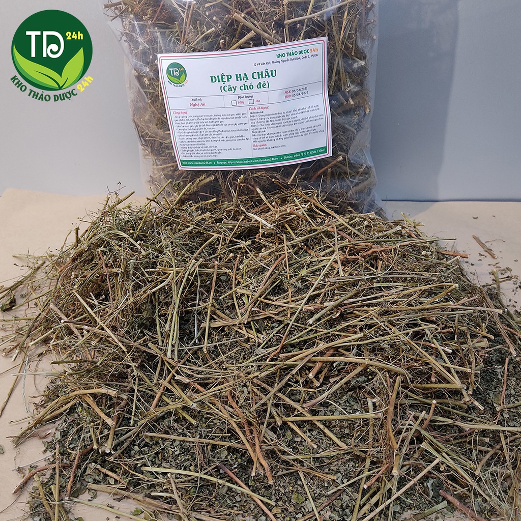 Diệp Hạ Châu - Chó đẻ răng cưa - [500 gram]