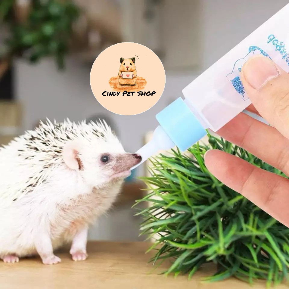 Bình sữa nhỏ gọn cho Sóc Bông, Hamster, Sóc Bay, Sóc Đất, Nhím, Sóc Chuột, Sóc Bắc Mỹ...