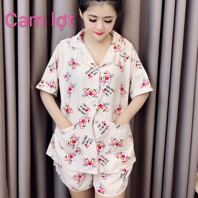 ĐỒ BỘ KATE QUẦN SHORT CỔ PYJAMAR