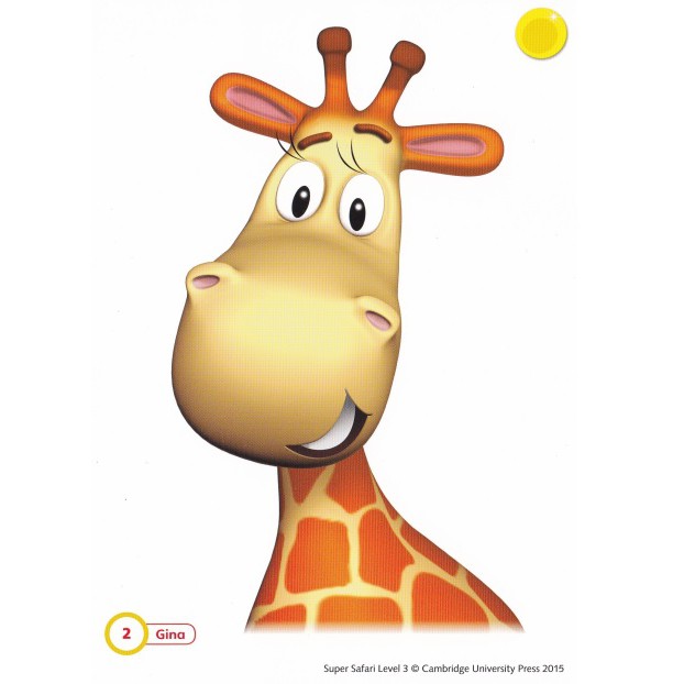 Flashcard Super Safari 3