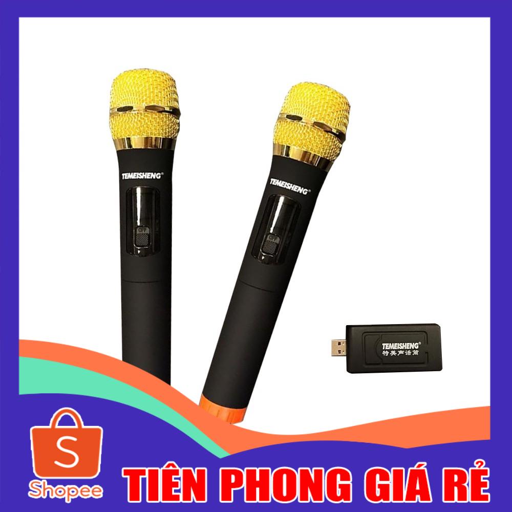 Bộ micro không dây đa năng Temeisheng W-48
