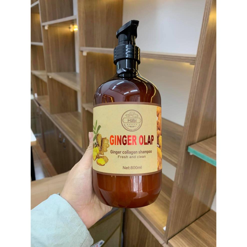 Cặp Dầu Gội Xả Gừng tươi Ginger Olap 800ml x2