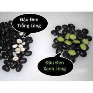 500G Đậu đen xanh lòng hạt nhỏ nhà trồng