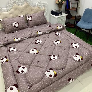 Set phao poly- được chọn mẫu