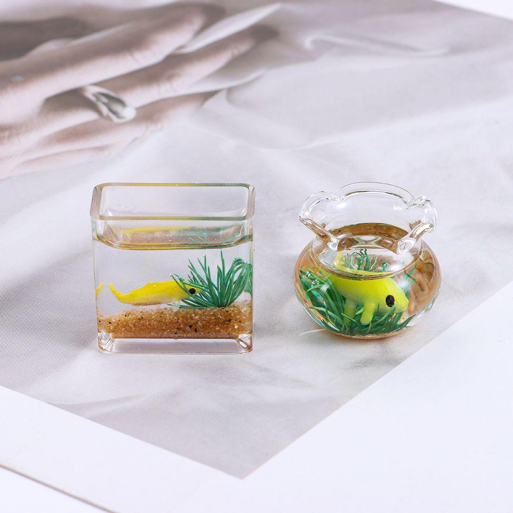 Bể Cá Mini Bằng Kính Màu Cầu Vồng