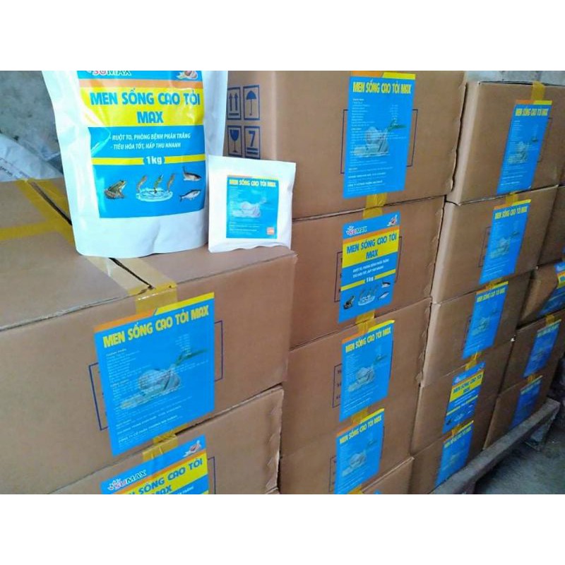 MEN SỐNG CAO TỎI THỦY SẢN