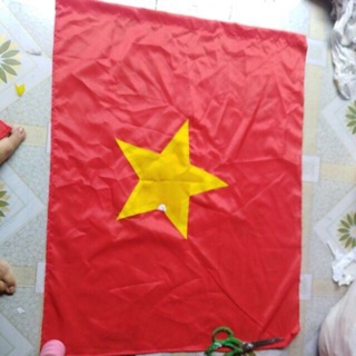 Cờ việt nam