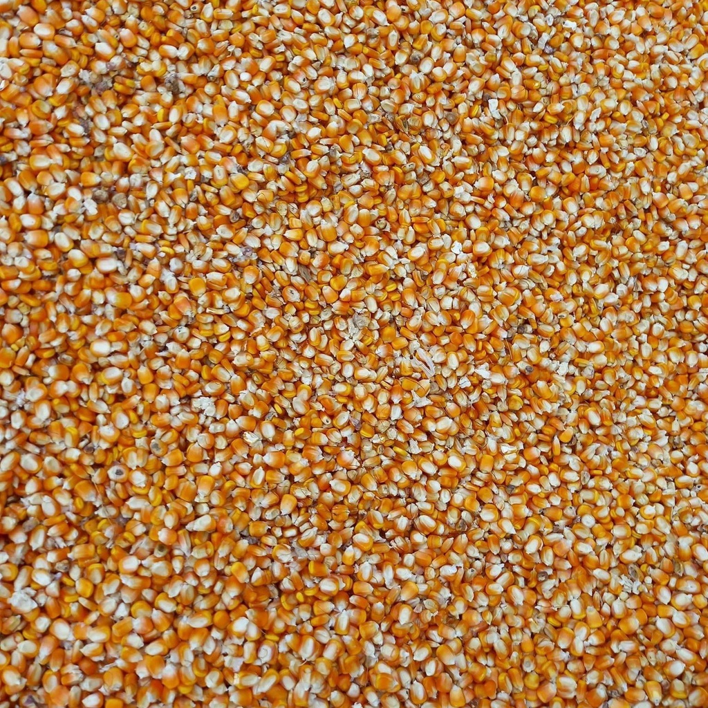 Bắp hạt khô - Ngô hạt cho hamster, chim, gà gói 200gr