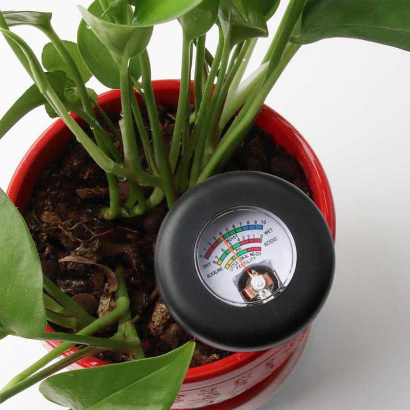 Bộ Dụng Cụ Kiểm Tra Độ Ẩm Đất 3 Trong 1 Tiện Dụng