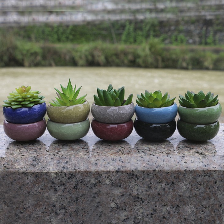 Chậu trồng cây cảnh mini bằng gốm láng bóng