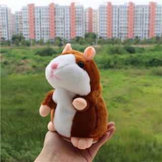 Chuột HAMSTER