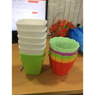 Combo 25 chậu nhựa