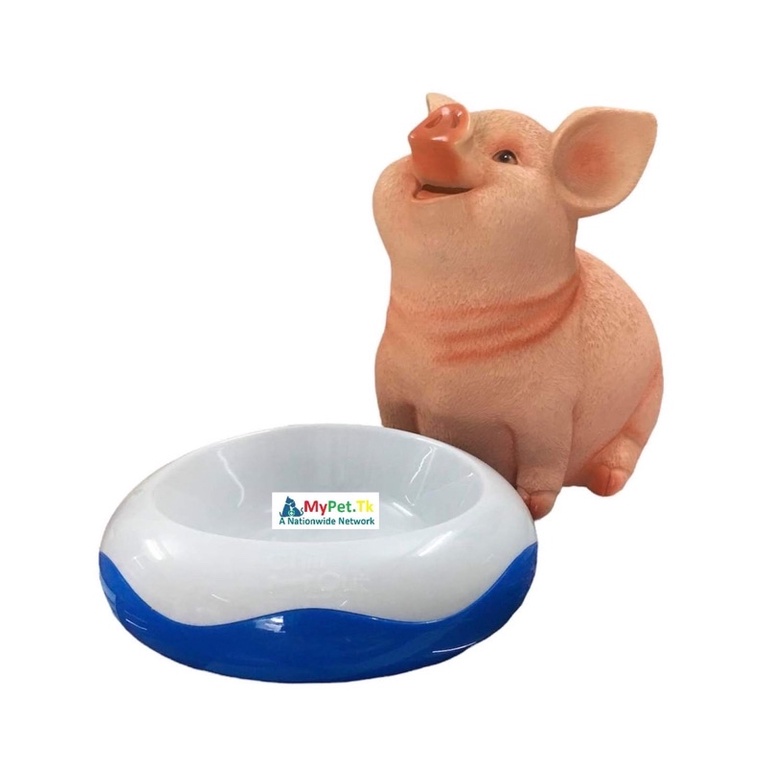AFP CHILL OUT - Chén tự làm lạnh đồ ăn nước uống cho chó