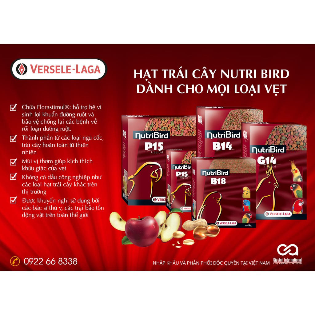 Hỗn Hợp Trái Cây Dành Cho Vẹt Xám, Cookatiel, Macaw - Versele-Laga NutriBird G14 Lợi Đường Ruột Gói 100g-500g