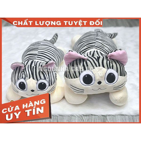 MÈO CHI BÔNG MỀM