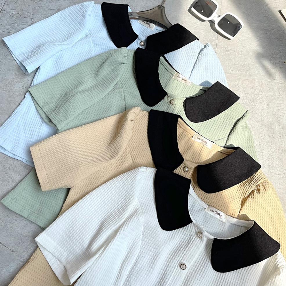 Set váy kí cố đức giả chân váy đen cạp chun chất liệu Sốp Hàn cao cấp giữ form dáng Eva Fashion