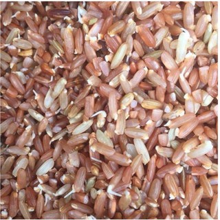 Gạo Lứt đỏ dẻo Điện Biên