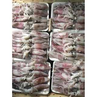 mực ống loại nhỏ khay 500g
