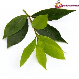 TLB - Lá nguyệt quế Bay leaf- gói 10 gr