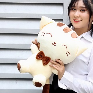 GẤU BÔNG GIÁ RẺ - MÈO ĐI HERE NHỒI BÔNG